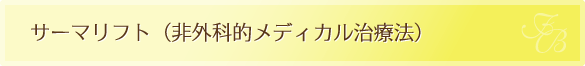 サーマリフト（非外科的メディカル治療法）